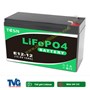 Pin Lithium 12V cho các bộ lưu điện cỡ nhỏ thay thế ắc quy a xít